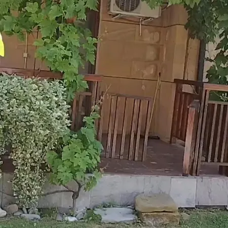 Garden Of Eden- Sweet Dreams Rey&mar Saint