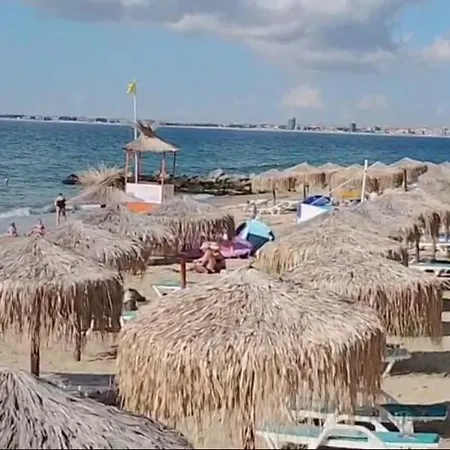 Garden Of Eden- Sweet Dreams Rey&mar Saint