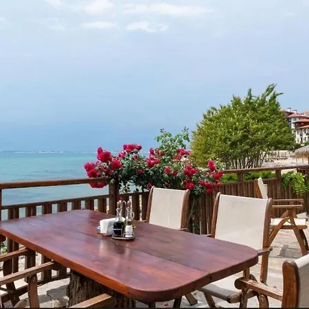 Garden Of Eden- Sweet Dreams Rey&mar Saint 圣弗拉斯