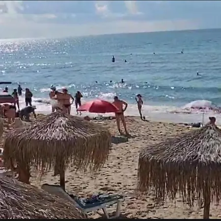 Garden Of Eden- Sweet Dreams Rey&mar Saint