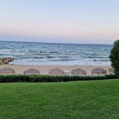 Garden Of Eden- Sweet Dreams Rey&mar Saint 公寓 *