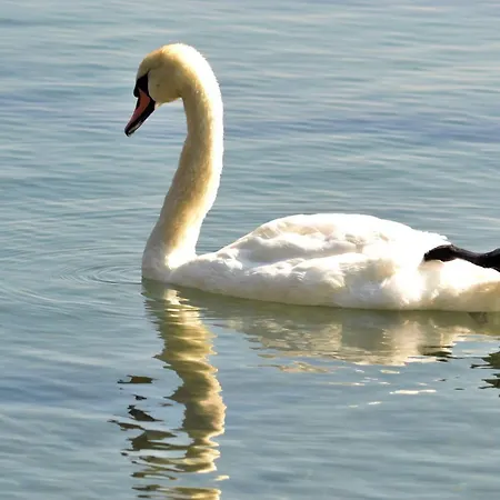 公寓 Garden Of Eden- Sweet Dreams Rey&mar Saint *