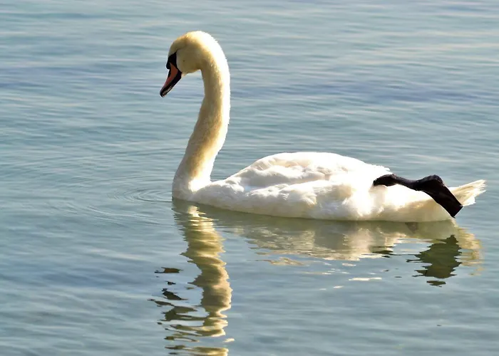 Lägenhet Garden Of Eden- Sweet Dreams Rey&mar Saint *