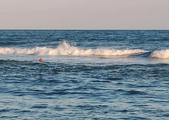 Garden Of Eden- Sweet Dreams Rey&mar Saint Lägenhet